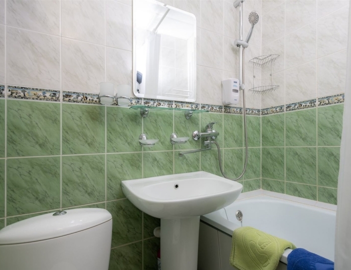 Двухместный стандартный номер с подселением - Санаторий «Родник Алтая» Белокуриха