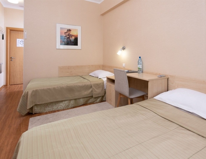 Двухместный эконом (без балкона) - Санаторий «Родник Алтая» Белокуриха