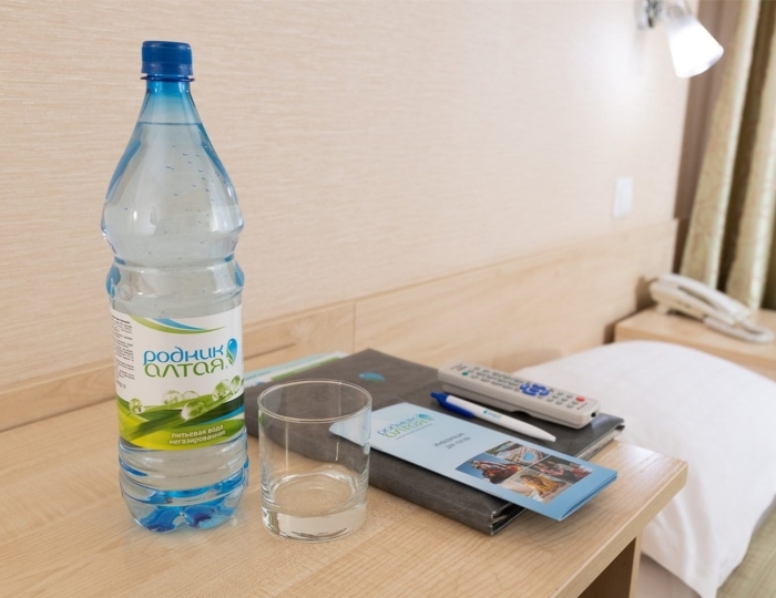 Двухместный эконом (без балкона) - Санаторий «Родник Алтая» Белокуриха