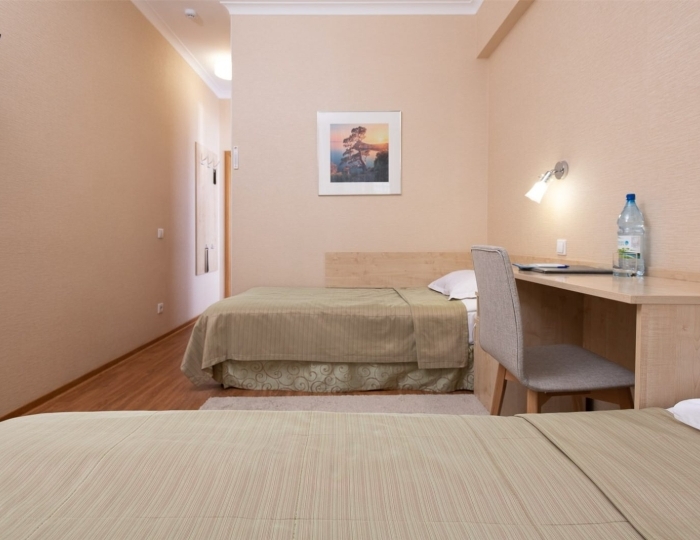 Двухместный эконом (без балкона) - Санаторий «Родник Алтая» Белокуриха